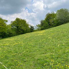 22-04-25 13-59-42 0636